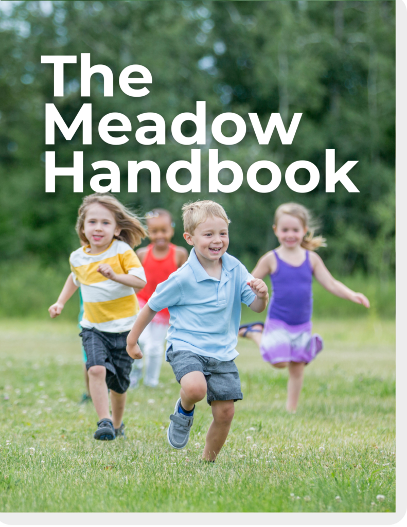 The Meadow Handbook downloadable PDF