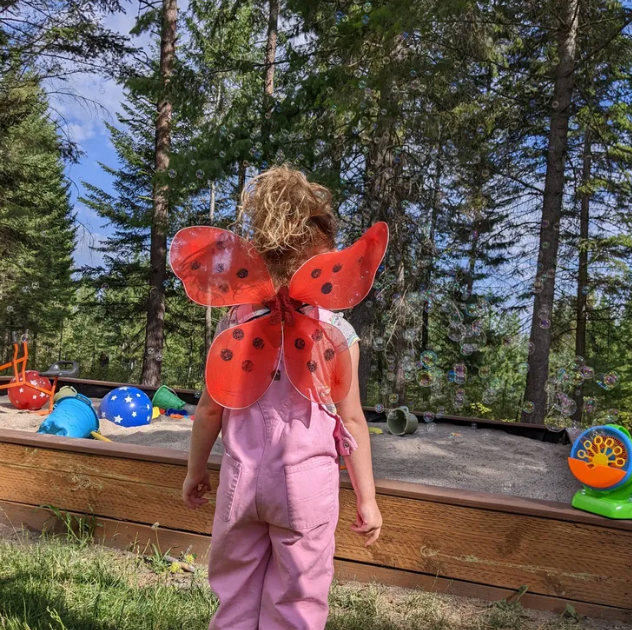 Little girl butterfly Girl in butterfly wings at The Meadow Preschool