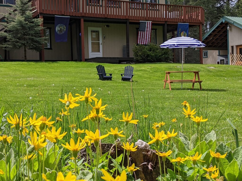 Outdoor play area at The Meadow Preschool Polsen Montana